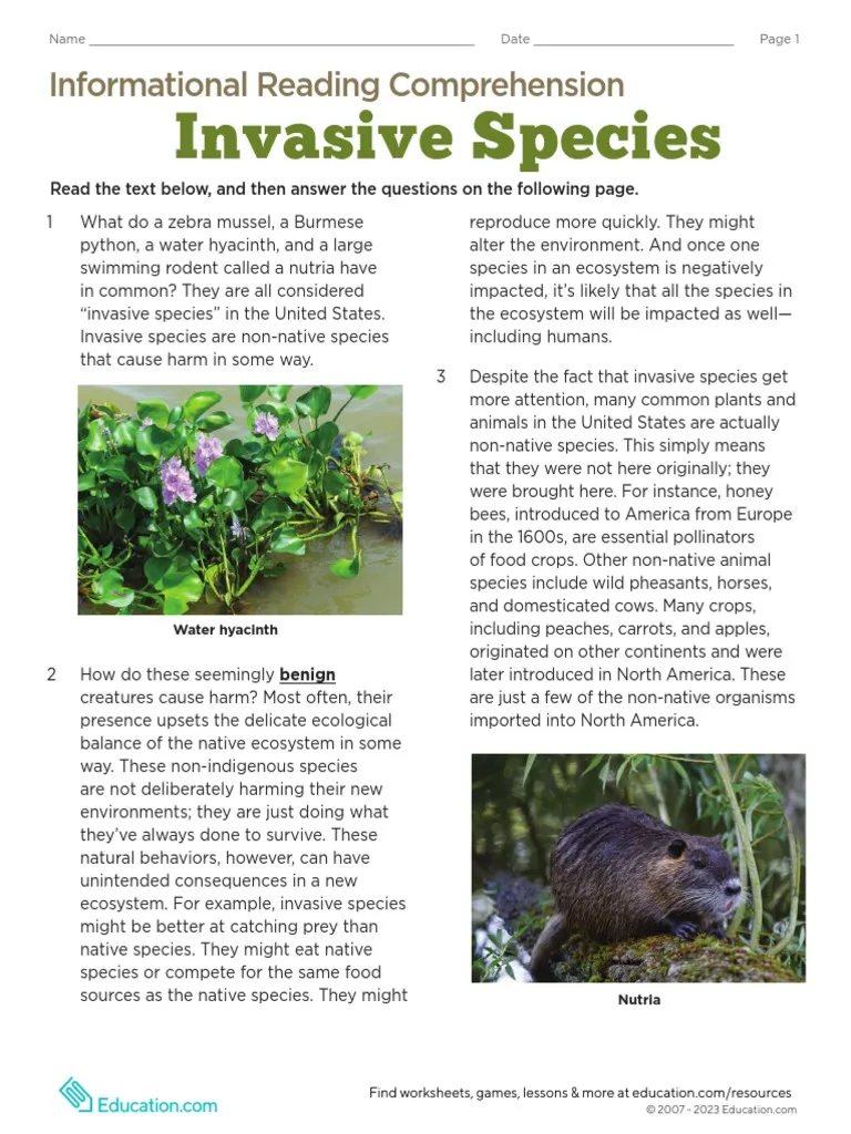 Eighth grade reading comprehension worksheet about the impact of invasive species on native ecosystems.
