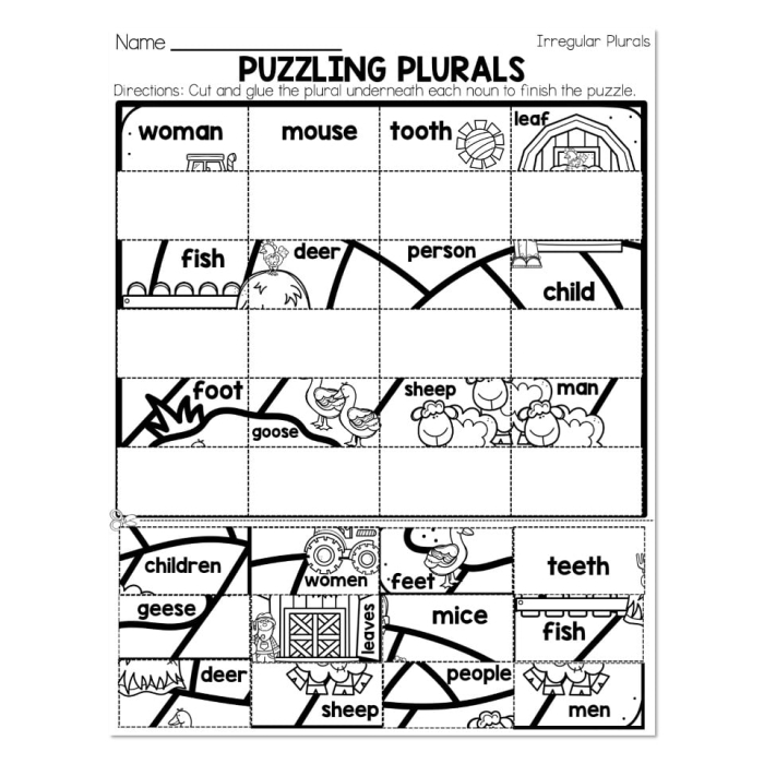 Irregular Plural Noun Match Worksheet for Second Grade Students Second grade students matching irregular plural nouns on a printable worksheet activity