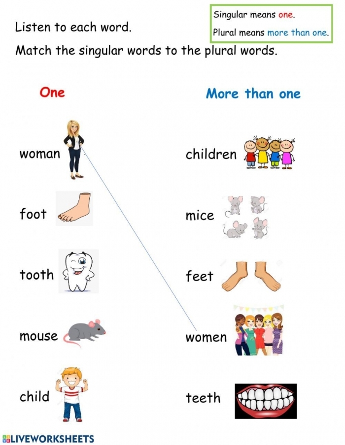 Irregular Plural Noun Match Worksheet for Second Grade Lesson 22 Second grade students practicing language skills with an Irregular Plural Noun Match worksheet