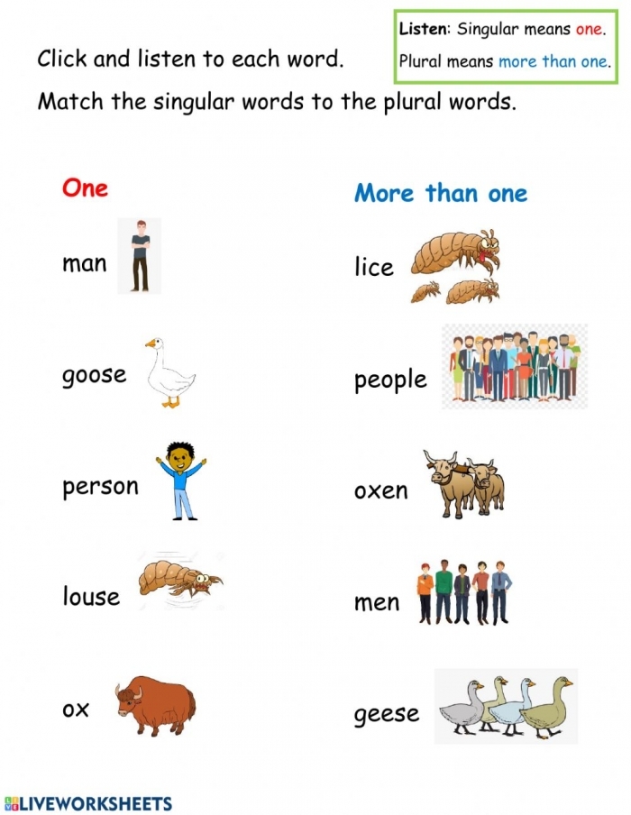 Irregular Plural Noun Match worksheet for second-grade students in Data and Graphing category A second-grade worksheet featuring an exercise to match irregular plural nouns with their singular forms