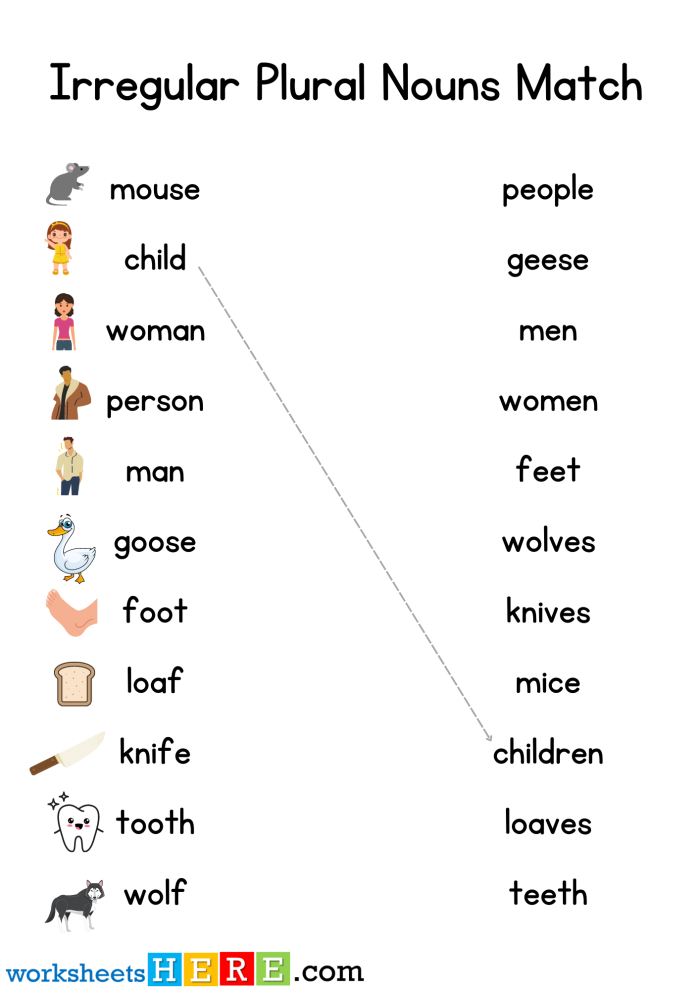 Irregular Plural Noun Match Worksheet Activity 24 Second grade student matching irregular plural nouns on a printable worksheet