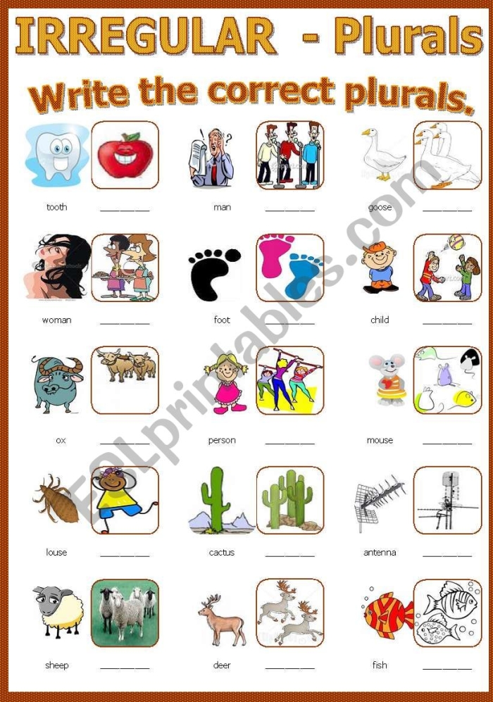 Practice irregular plural forms with this fun and interactive worksheet image Worksheet illustrating irregular plurals with engaging visuals for second graders