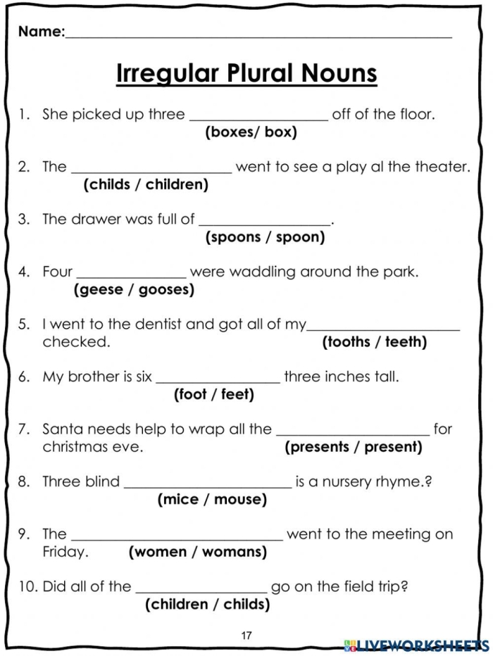 Grammar and Mechanics worksheet for Second Grade Interactive worksheet for second graders focusing on irregular plural nouns through image matching. Irregular Plurals: Plural Practice 1 Worksheet - Image 8