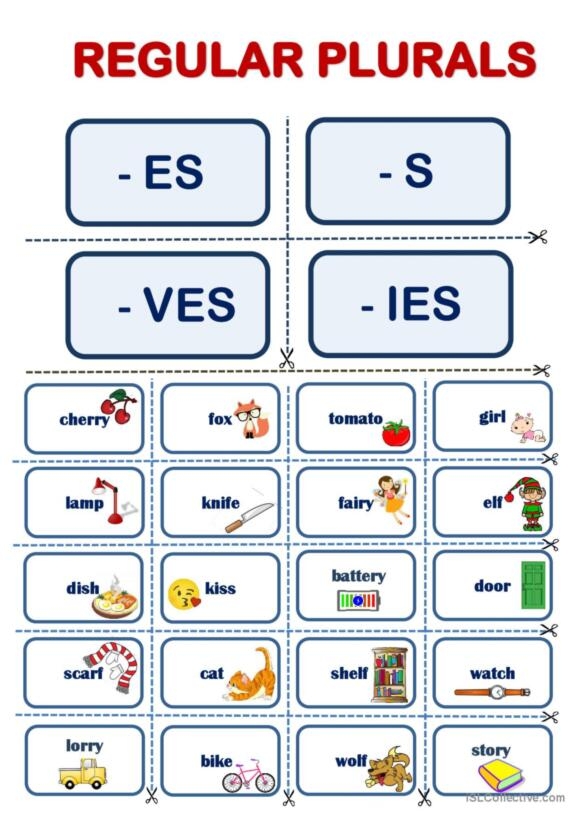 Irregular Plurals: Plural Practice 1 worksheet image number 12 Worksheet image illustrating irregular plurals with corresponding noun images for second graders