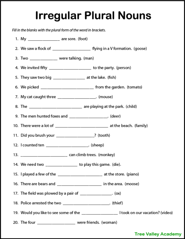 Grammar and Mechanics worksheet for Second Grade Worksheet featuring irregular plurals for second graders, illustrating noun-image connections. Irregular Plurals: Plural Practice 1 Worksheet Image 16