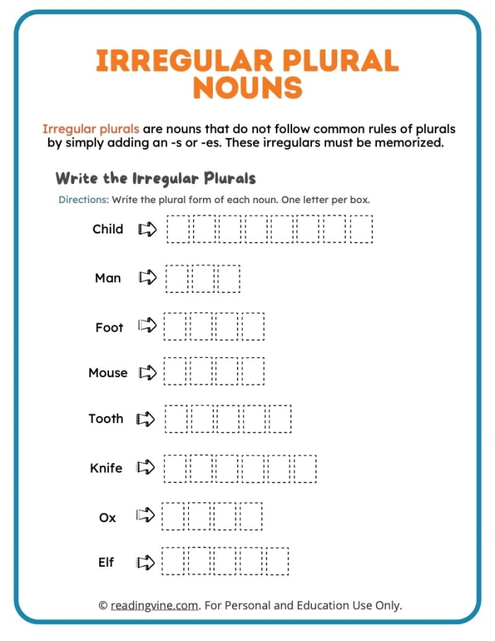 Irregular Plurals: Plural Practice 1 Worksheet - Image 11 Worksheet illustrating irregular plurals with images for second graders