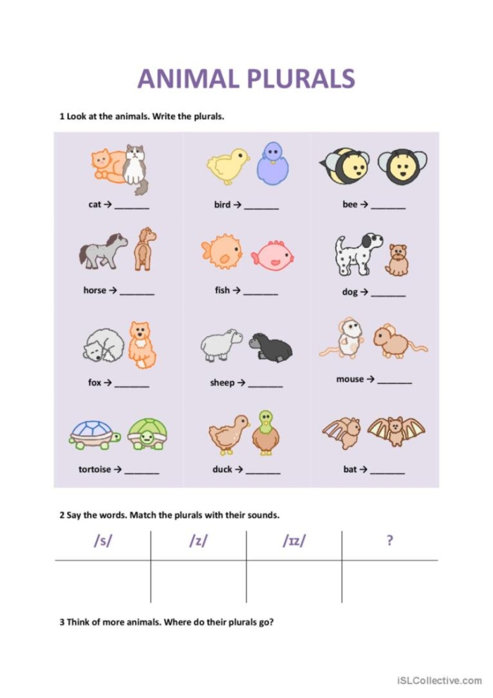 Irregular Plurals Practice 1 worksheet for second grade students Worksheet focusing on irregular plurals with images for second graders