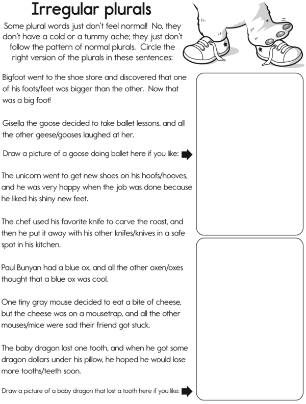Second grade grammar worksheet featuring practice exercises for irregular plural nouns and verb forms
