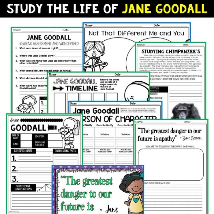 Jane Goodall Biography worksheet for fourth graders interested in animal research