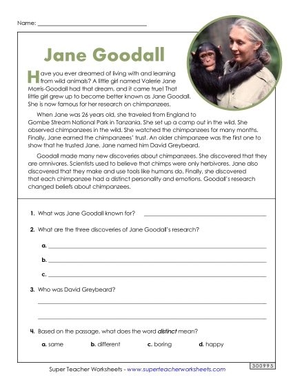 Jane Goodall Biography worksheet for fourth graders, featuring animal research themes