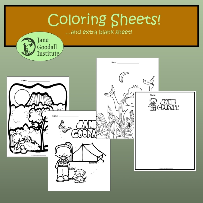 Second grade reading worksheet featuring a biographical lesson on scientist Jane Goodall and her work with chimpanzees