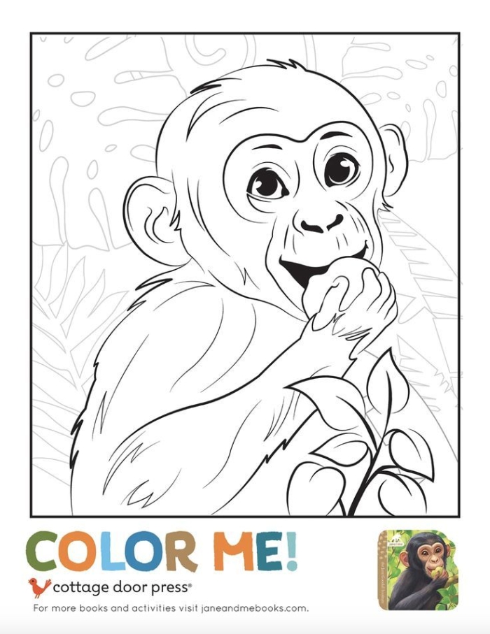 Jane Goodall Coloring Page worksheet for young animal lovers in Pre-K Coloring page featuring Jane Goodall, an iconic scientist and animal advocate for preschoolers