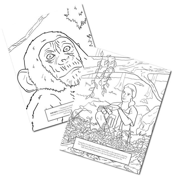 Inspiring worksheet for Pre-K students centered around Jane Goodall's work in animal science Jane Goodall coloring page worksheet featuring a playful design for young animal lovers
