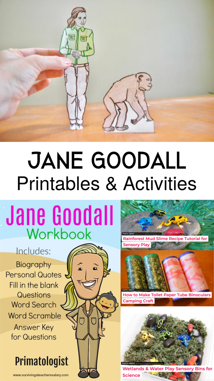 Second grade students learning about Jane Goodall's conservation work through a ratios and proportions worksheet activity
