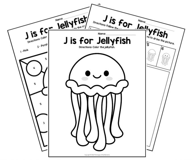 Colorful illustration of various jellyfish species for a fifth-grade life science worksheet