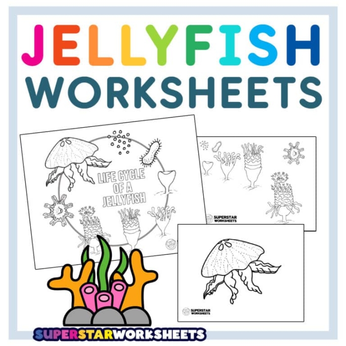 Illustration of various jellyfish species with educational content for fifth graders