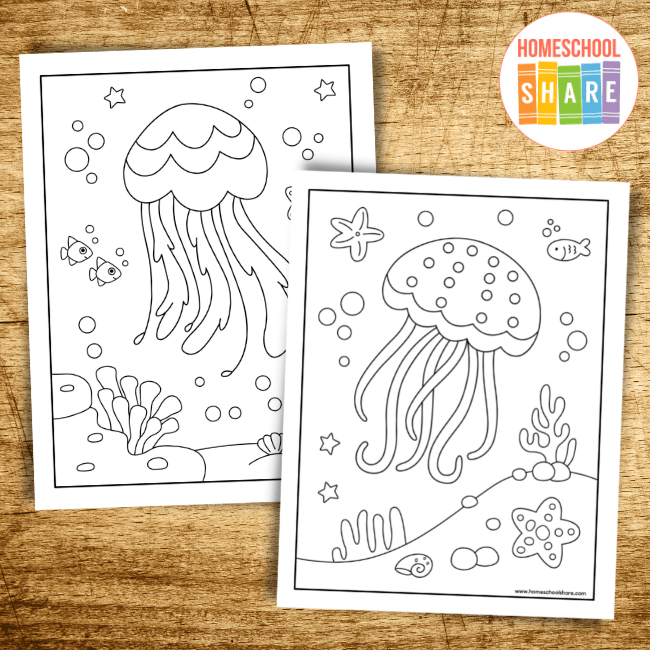 Detailed worksheet on various jellyfish species for fifth graders