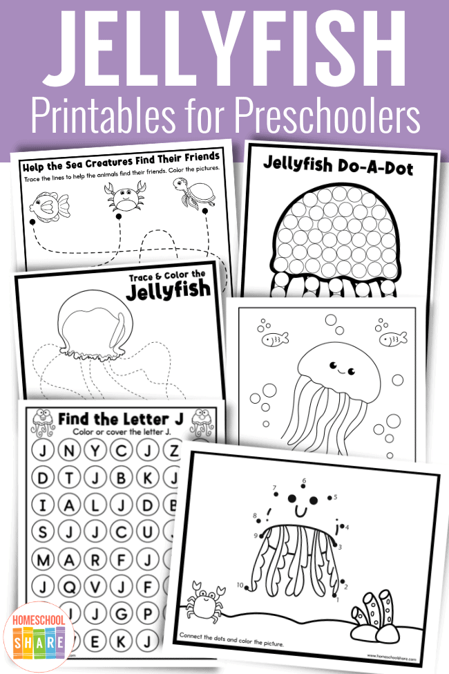 Fifth grade life science worksheet featuring various species of jellyfish and a review quiz