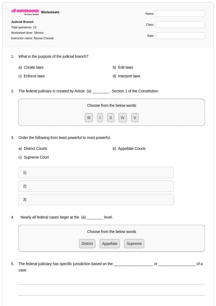 Explore the functions of the judicial branch with this engaging worksheet image Judicial Branch worksheet graphic organizer for sixth graders exploring government roles