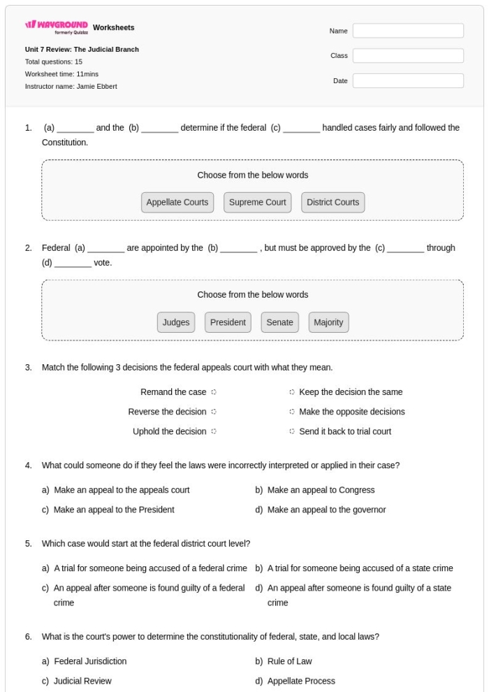 Interactive visual aid for understanding the judicial branch in a 6th-grade context Judicial Branch worksheet graphic organizer for sixth graders exploring federal government roles