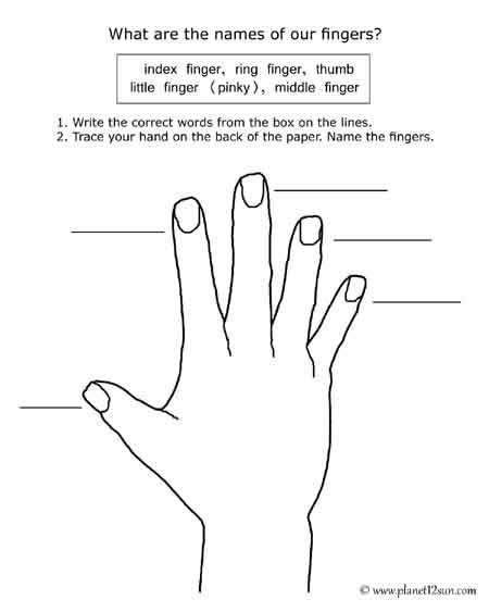 Where Do My Fingers Go Home Keys Worksheet for Kindergarten Students 17 Kindergarten worksheet showing A-S-D-F-J-K-L-; home row keyboard finger placement guide