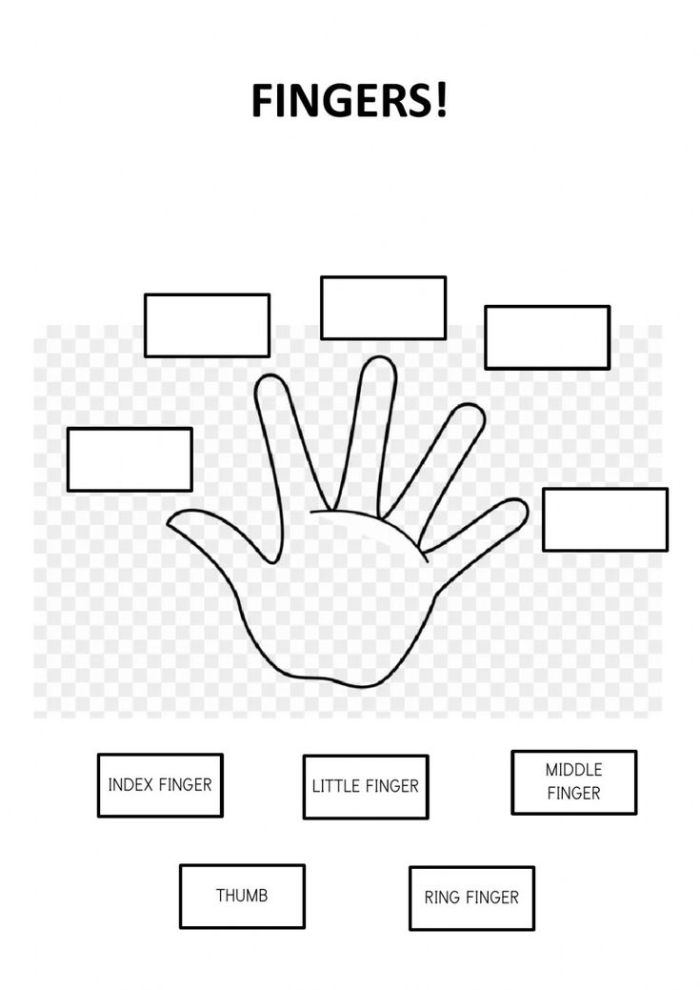 Proper Finger Placement on Home Row Keys for Beginning Typists Kindergarten student hands positioned on keyboard home row keys showing correct finger placement for A S D F J K L semicolon