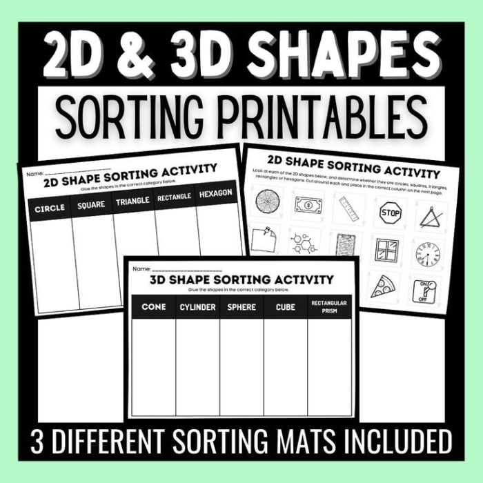 Kindergarten worksheet activity for sorting various 2D and 3D shapes into categories