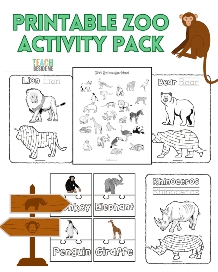 Engaging At the Zoo multiplication activity for early learners Adjective identification worksheet featuring zoo animals for kindergarten students