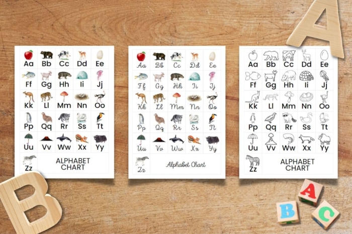 My Alphabet Chart Worksheet Number 25 for Kindergarten Literacy Development Kindergarten student using a My Alphabet Chart worksheet to practice letter-sound recognition