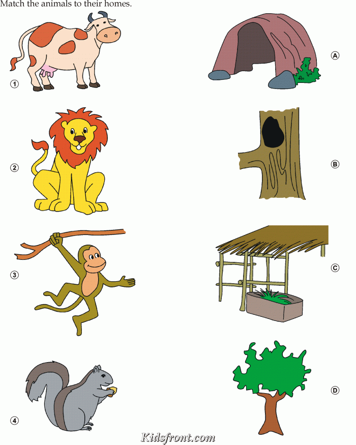 Animal Habitats Match-Up Worksheet for Kindergarten Reading Lesson 14 Kindergarten student matching various animals to their correct rainforest or desert habitats on an activity sheet