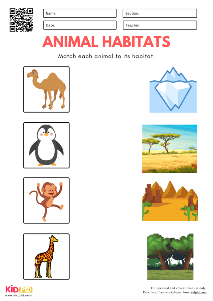 Animal Habitats Match-Up Worksheet 5 for Kindergarten Reading Kindergarten student connecting animals to their correct rainforest or desert habitats on an educational worksheet