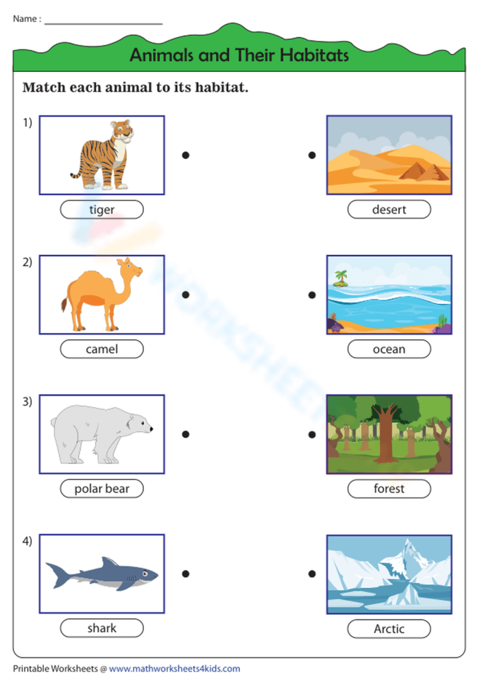 Animal Habitats Match-Up Worksheet 23 for Kindergarten Reading Kindergarten student connecting lines between various animals and their specific environments on an Animal Habitats Match-Up worksheet