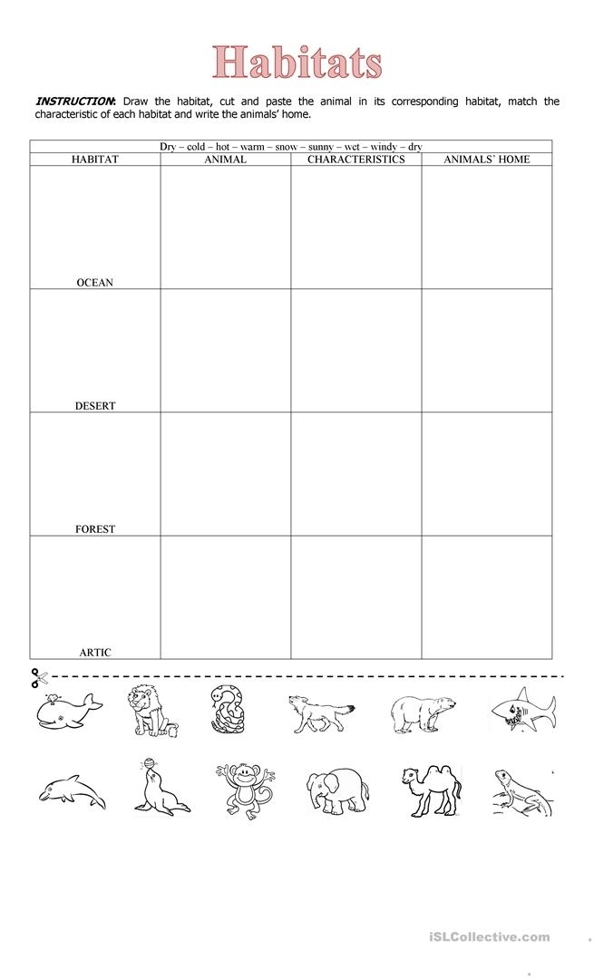 Animal Habitats Match-Up Game for Early Readers Kindergarten student matching animals to their habitats in a rainforest and desert learning activity