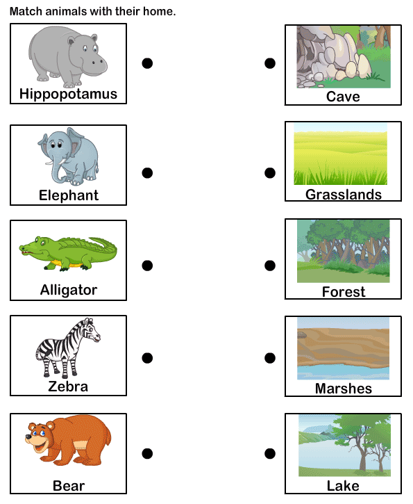 Animal Habitats Match-Up Worksheet 25 for Kindergarten Reading Kindergarten worksheet featuring a matching activity where students connect animals like monkeys to their correct rainforest or desert habitats