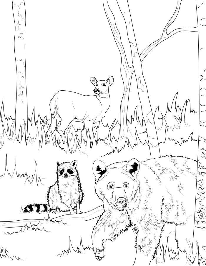 Worksheet image illustrating animal habitats for six wild animals in a fun activity Coloring worksheet for kindergarten students to explore animal habitats