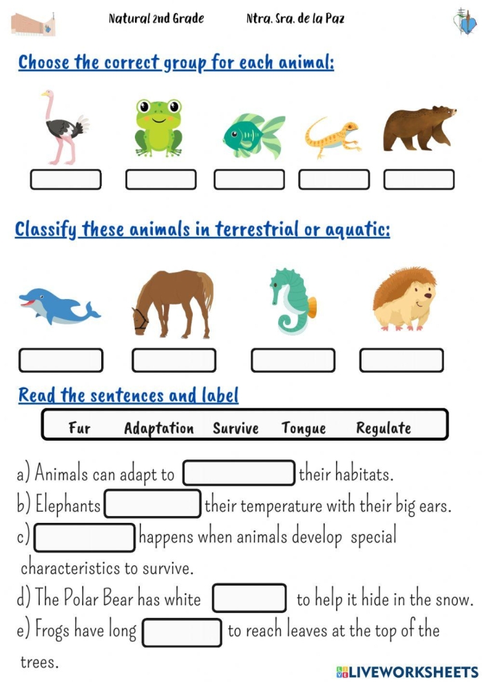 Animal Habitats Coloring Worksheet for Kindergarten Students Coloring worksheet for kindergarten focusing on animal habitats and wild animals