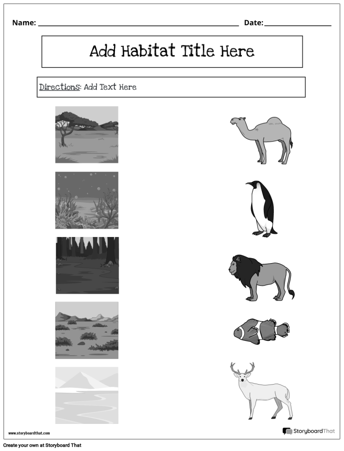 Animal Habitats Match-Up Worksheet for Kindergarten Learners 12 Kindergarten student connecting various animals to their correct natural habitats on a worksheet