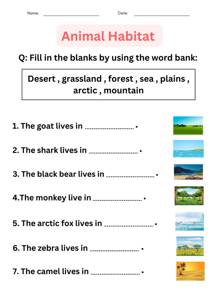 Animal Habitats Match-Up Worksheet 15 Kindergarten worksheet featuring an animal habitats match-up activity for identifying animal homes