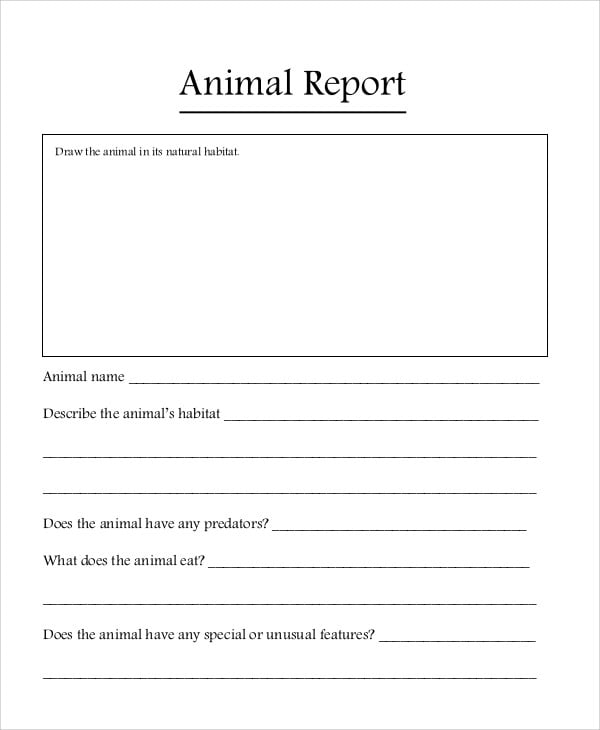 Handwriting worksheet for Kindergarten Colorful All About Animals Report worksheet for kindergarten students to enhance their handwriting skills. Engaging guide for creating fun animal reports in a classroom setting.