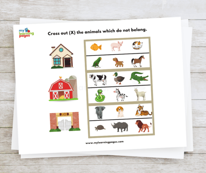 Engaging guide for students to create an animal informational report Colorful All About Animals Report worksheet designed for kindergarten handwriting practice