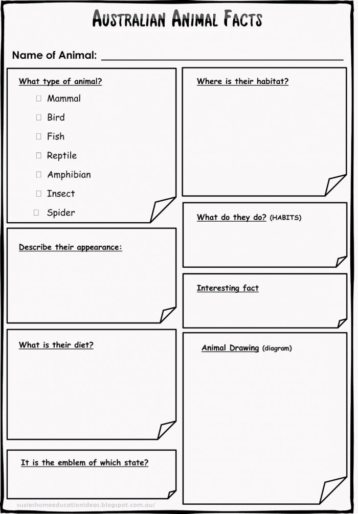 All About Animals Report worksheet for young learners Colorful worksheet for kindergarten students about creating an animal report