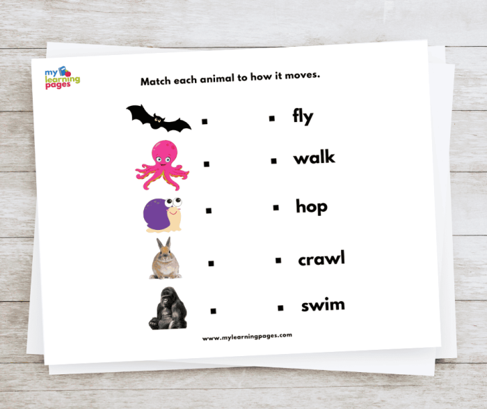 All About Animals Report Worksheet for Handwriting Practice Colorful worksheet for kindergarten students to create an animal report