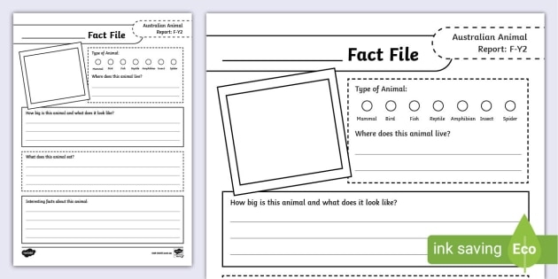 Informational report guide for young animal enthusiasts Kindergarten students working on the All About Animals Report worksheet