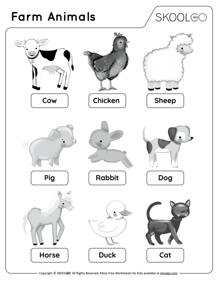 All About Animals Report worksheet for early learners Colorful worksheet for kindergarten students to create an animal report