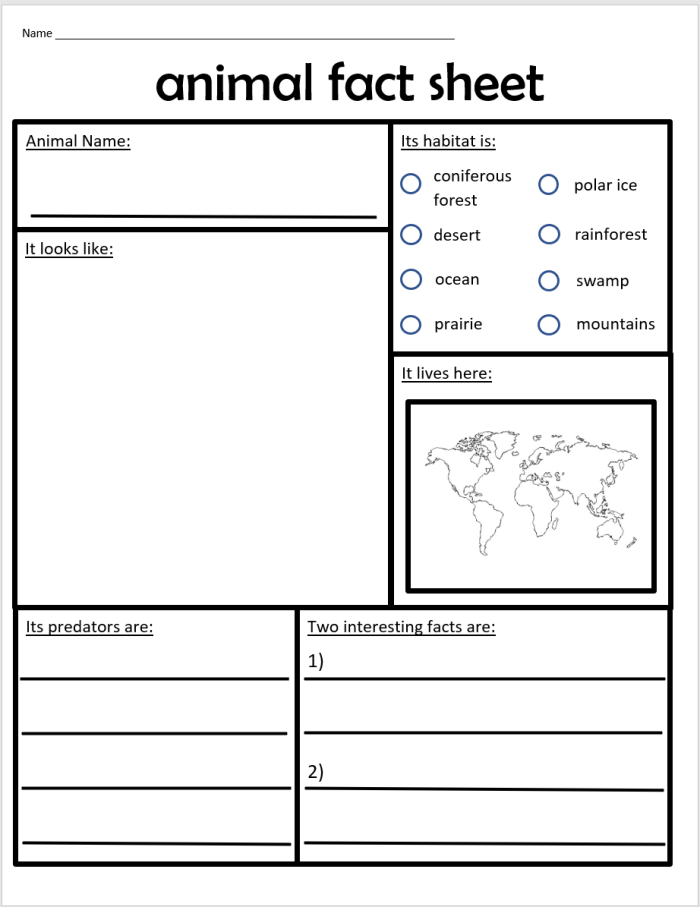 All About Animals Report worksheet for young learners Colorful worksheet for Kindergarten students to create an animal report