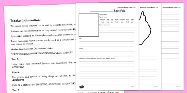 All About Animals Report worksheet for handwriting practice Colorful worksheet for kindergarten students to create an animal report