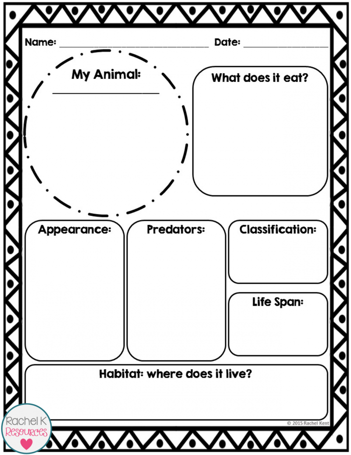 All About Animals Report worksheet for young learners Worksheet for students to create an animal report in kindergarten handwriting class