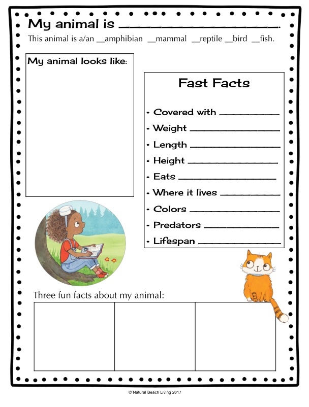 All About Animals Report worksheet for young learners in handwriting class Worksheet featuring a guide for creating an animal report for kindergarten students