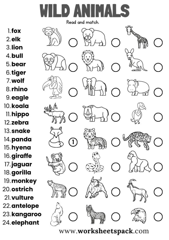 All About Animals Report worksheet for handwriting practice Colorful worksheet for kindergarten students to create an animal report
