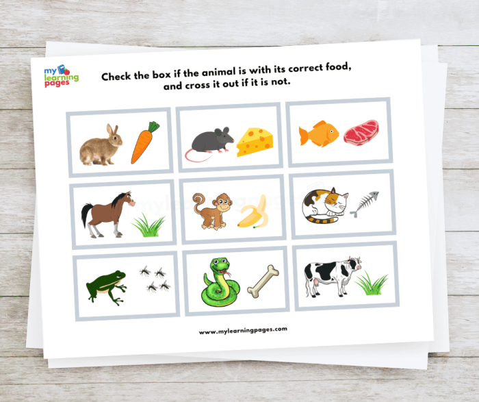 All About Animals Report worksheet for early handwriting skills Colorful worksheet for Kindergarten students to learn about animals and create reports